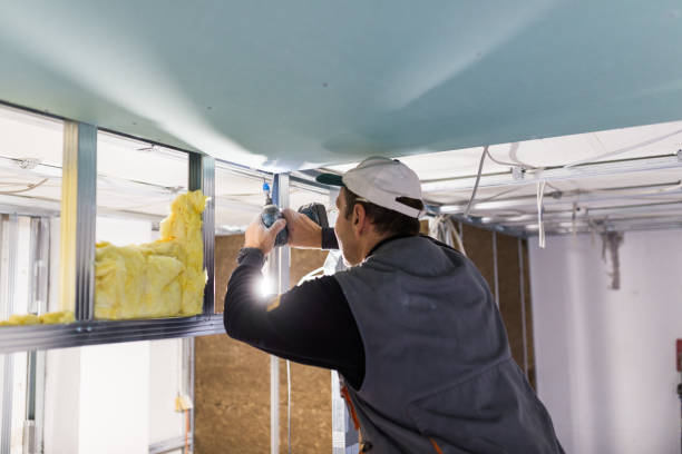 Best Eco-Friendly Insulation in Willoughby, OH