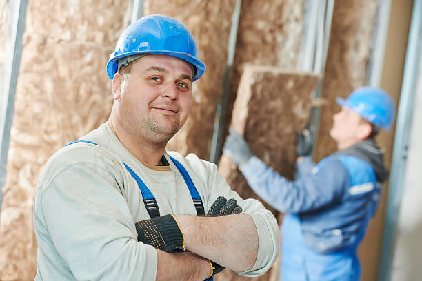 Best Insulation Maintenance and Repair in Willoughby, OH